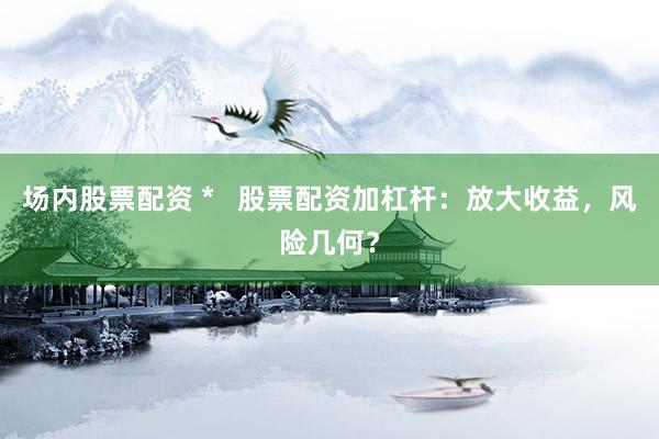 场内股票配资 *   股票配资加杠杆：放大收益，风险几何？
