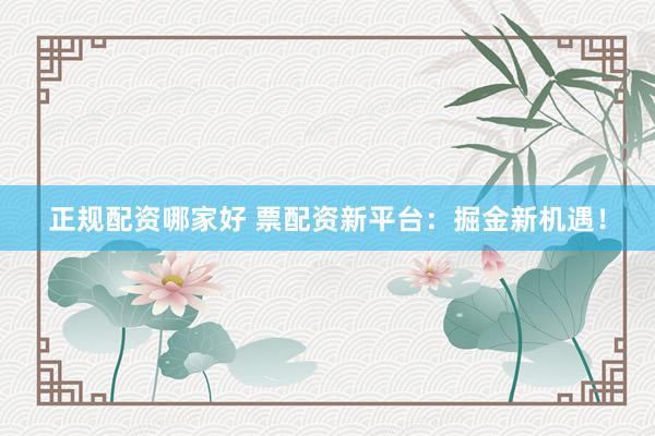 正规配资哪家好 票配资新平台：掘金新机遇！
