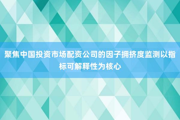 聚焦中国投资市场配资公司的因子拥挤度监测以指标可解释性为核心